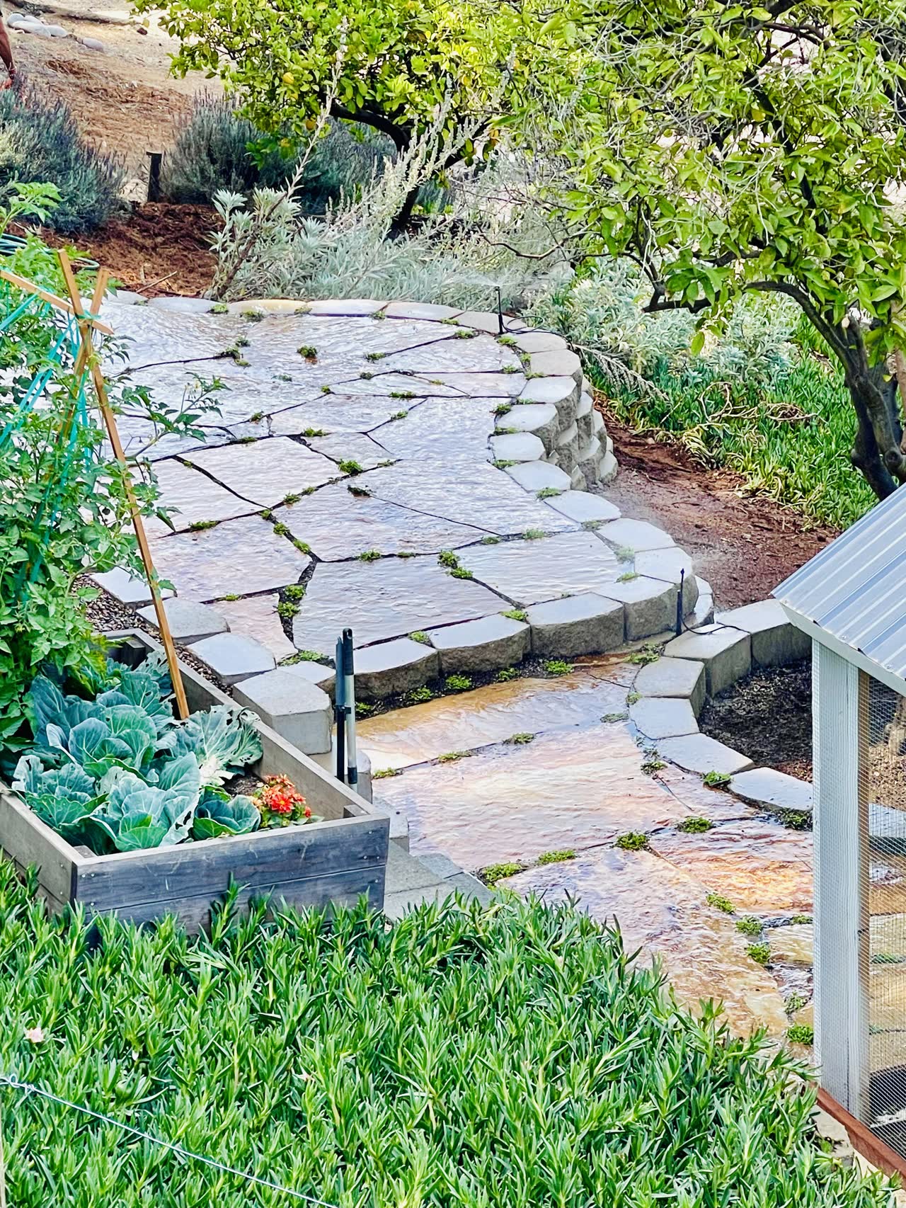 Flagstone path with stone borders, raised vegetable planters, and drip irrigation